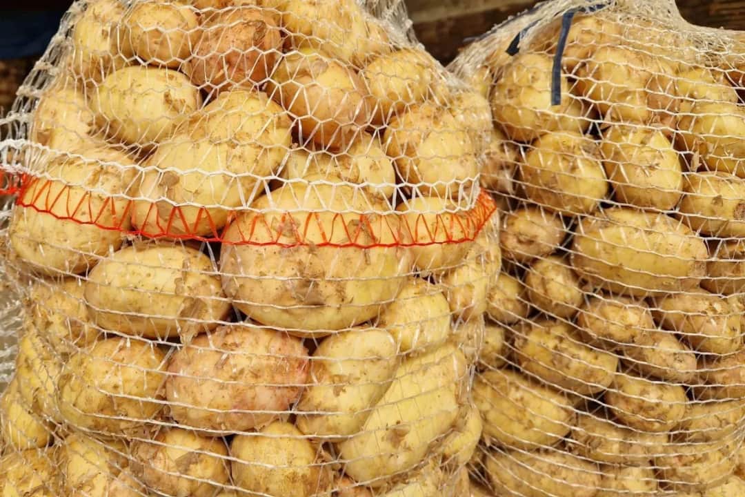 Ile ziemniaków na osobę? Precyzyjny poradnik (200-250g!)